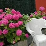 ホテル Pineda Playa 2*