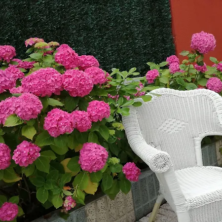 Szálloda Pineda Playa 2*