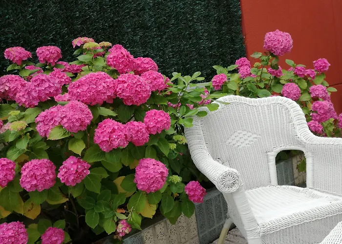 Szálloda Pineda Playa 2*